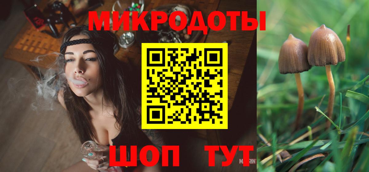 Псилоцибиновые грибы Cubensis Магнитогорск